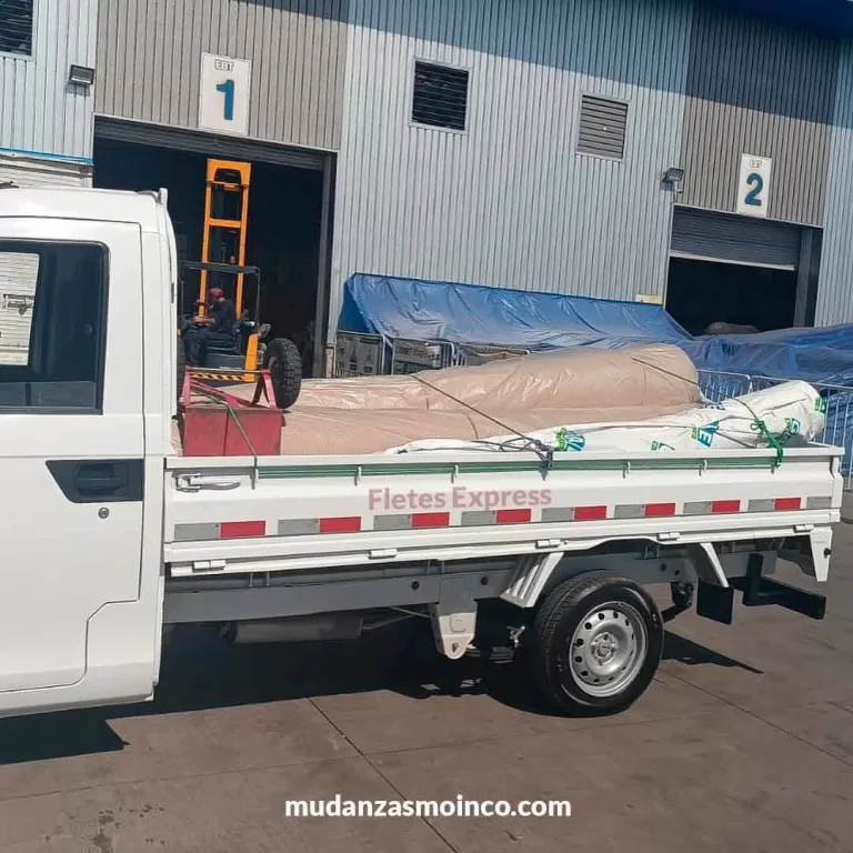 Fletes en Santiago 2 fletes santiago de chile