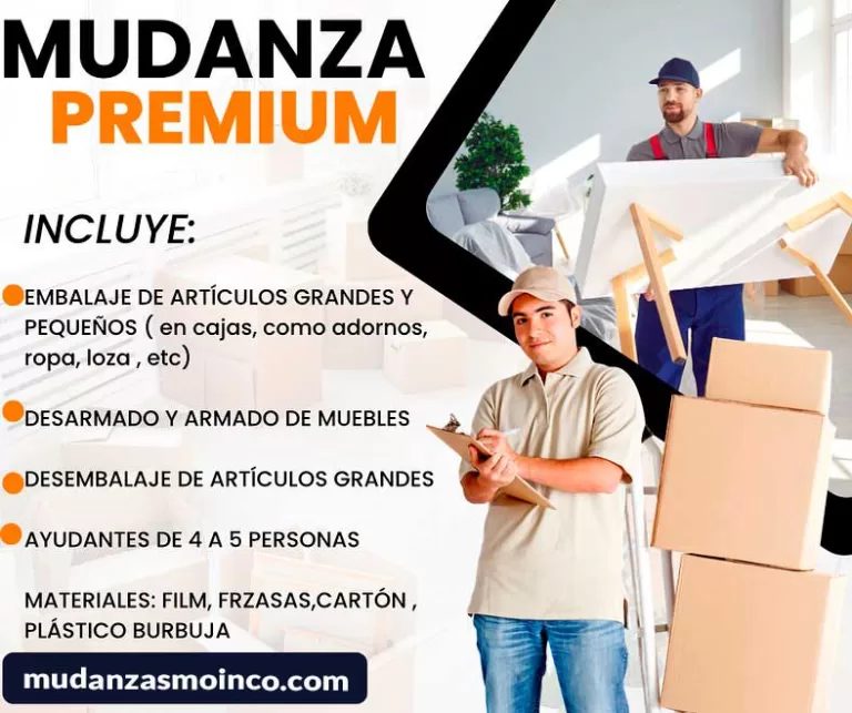 mudanzas en santiago de chile