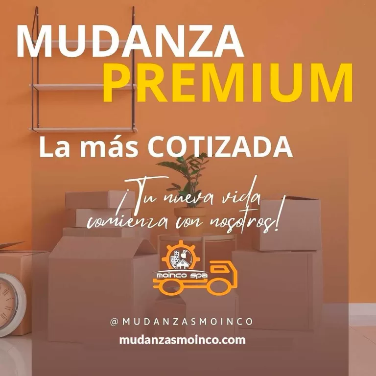 mudanzas santiago premium