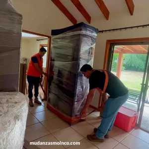 santiago mudanzas premium