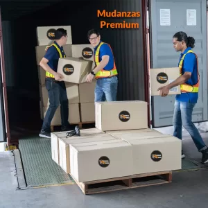 Servicios Para El Hogar 19 servicios para el hogar mudanzas premium